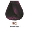BBcos Innovation Evo Hair Dye 5/2 violett hellbraun 100ml